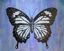Butterfly by Quint