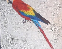 Thomas The Parrot by YOKII
