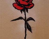 Red Rose on Cb by Quint