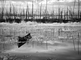 Perahu Di Tengah Rawa by Yoga Raharja