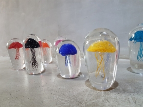 Glass Jellyfish_2